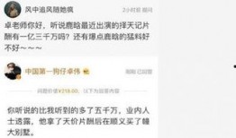卓伟最新爆料杭州人,杭州人生死谜案，真相即将揭晓