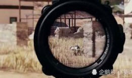 暗区体验服最新爆料新枪,神秘性能引发玩家热议