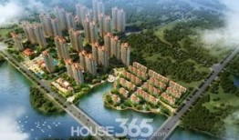 芜湖龙凤佳苑最新爆料,揭秘神秘项目背后的真相